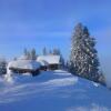 Отель Gasthof Seeklause, фото 3