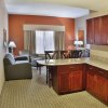 Отель Holiday Inn Express Hotel & Suites MCDONOUGH, фото 4