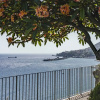 Отель House by the Sea, With Harbor View - Lazareto Mar, фото 15