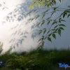 Отель Shunan Zhuhai Pusu·PureSoul Homestay·Quanzhu Banquet, фото 8