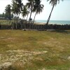 Отель Sekeping Penarek Homestay, фото 8