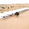 Отель Mohin Desert Safari Camp, фото 12