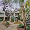 Отель Phoenix Abode w/ Pool Access: Walk to Fashion Park, фото 13