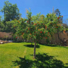 Отель Anasa Residence, фото 13