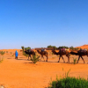 Отель Auberge Africa, фото 19