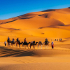 Отель Desert Heart Luxury Camp, фото 16