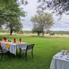 Отель Mohlabetsi Safari Lodge, фото 25