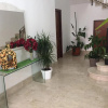 Отель tropical loft, фото 2