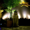Отель Penghu Lucai B&B, фото 43