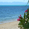 Отель Royal Living Koh Samui - Dreamy With Jacuzzi - Villa 6, фото 2