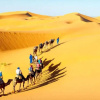 Отель Desert Safari Camp, фото 24