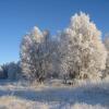 Отель Lhl Klinikkene Røros, фото 23