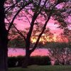 Отель L'arbre Rouge, фото 19
