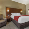 Отель Comfort Inn & Suites Streetsboro - Kent, фото 37