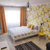 Отель Dream Studio 2 Petrosani, фото 2