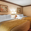 Отель Quality Inn & Suites, фото 5