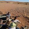 Отель Namib Desert Camping2Go, фото 10