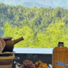 Отель Anji Xiyue Homestay (Yunshang Grassland Branch), фото 21