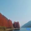 Отель Guorui Hotel, фото 12