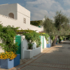 Отель Maritalia Hotel Club Village - All Inclusive, фото 33