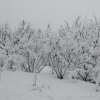 Отель Sunface Homestay, фото 29