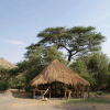 Отель Lake Natron Tented Camp, фото 10