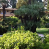 Отель Apartment Les Eucalyptus, фото 6
