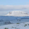 Отель Harber Scar, фото 12