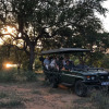 Отель Mthimkhulu Private Game Reserve- Adults Only, фото 12
