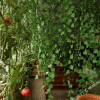Отель Longjia Tianyuan Hotel, фото 3