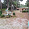 Отель Studio in Castiglioncello, With Wonderful sea View, Shared Pool and Enclosed Garden - 400 m From the, фото 20