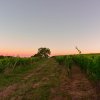 Отель La Closerie de Fronsac, фото 16