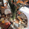 Отель Elephant Coast Guest House, фото 12