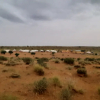Отель Royal Peepli Desert Camp, фото 2