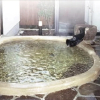 Отель Oyado Nurukawa Onsen, фото 10