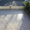Отель Grand Diamond Hotel Suites Trinidad, фото 20