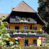 Отель Historisches Landgasthaus zur Linde в Мюнстертале