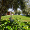 Отель Athena Villas Olive Grove & Estate, фото 12