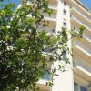 Отель The Old Town Viewpoint Apartments в Будве