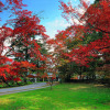 Отель Karuizawa Prince Hotel West, фото 22