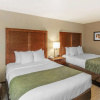 Отель Comfort Inn University, фото 3