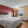 Отель Red Roof Inn PLUS+ El Paso East, фото 7