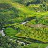 Отель Sapa Success Hotel, фото 20