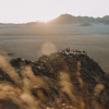 Отель Namib Outpost l Ondili, фото 18