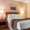 Отель Quality Inn & Suites, фото 9