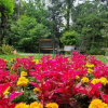 Отель CASA GOLDONI GRAMADO 3 Quartos, фото 11