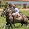 Отель Estancia El Colibri - Relais & Châteaux, фото 3