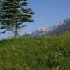 Отель Pleiknerhof, фото 11