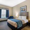 Отель Comfort Inn & Suites, фото 5