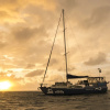Отель Coral Sea Dreaming Dive and Sail, фото 16